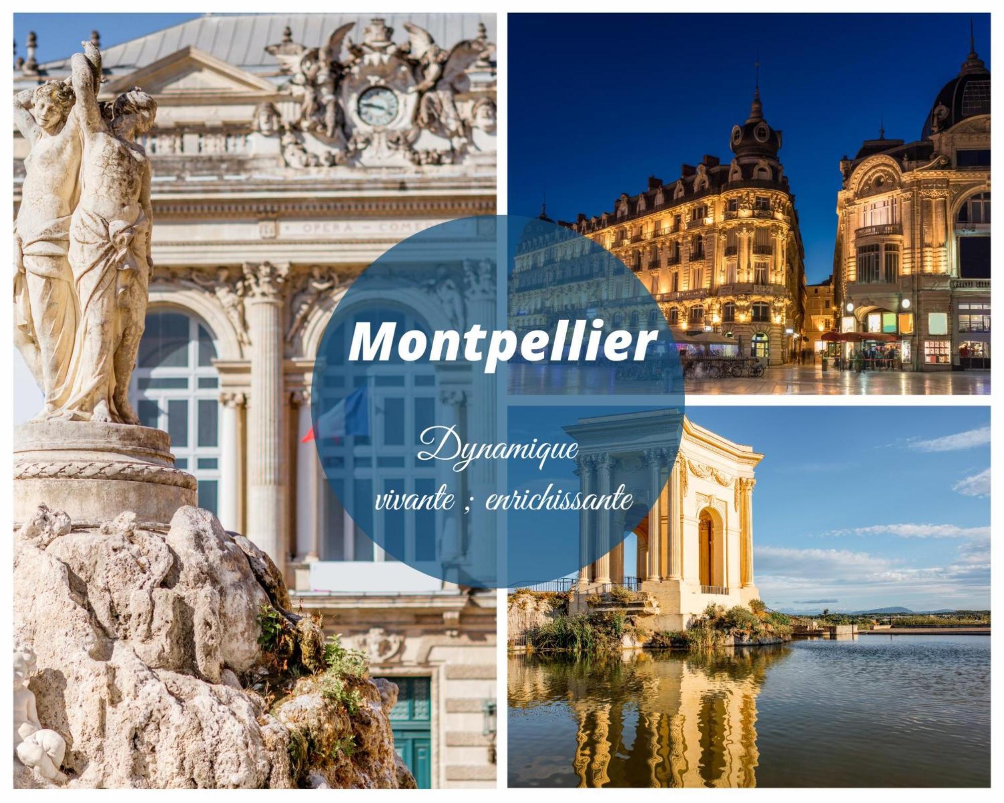 Luxury Mind Vue Exceptionnelle Pied Dans L'Eau Parkings Prives 2 Places Climatisation Hyper Centre Logement D'Exception La Grande Motte Bagian luar foto